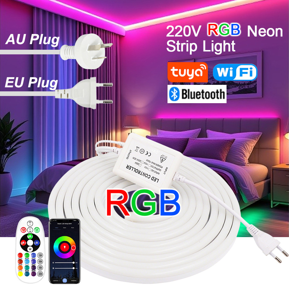 Outdoor Power Hub - 220V RGB LED Neon Strip with