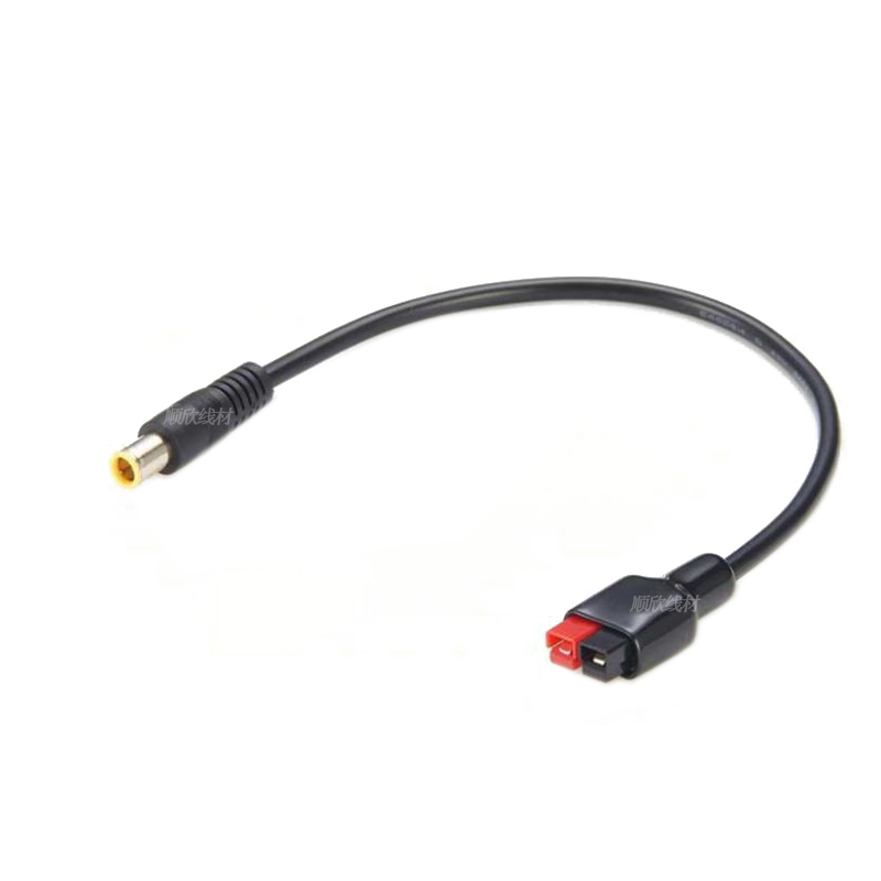 DC7909 male and female to 30A  - Outdoor Power Extension Cord ulasan dan harga