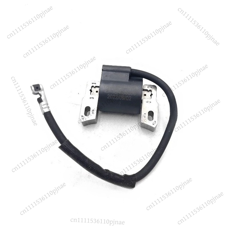 Ignition Coil Module 590454 80 - Outdoor Power Module ulasan dan harga