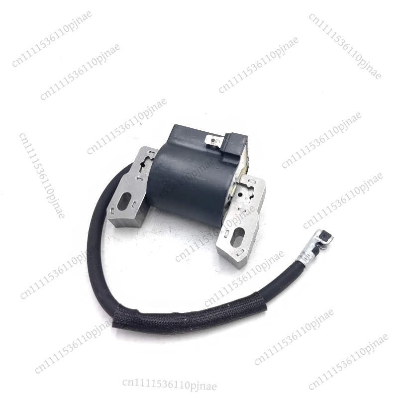 Ignition Coil Module 590454 80 - Outdoor Power Module ulasan dan harga