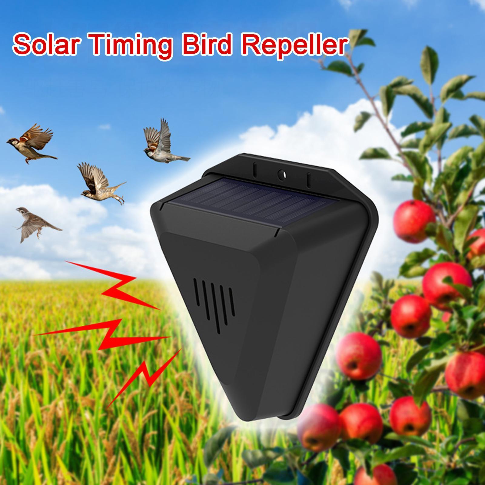 Solar Timer Bird Repeller With - Outdoor Power Timer ulasan dan harga