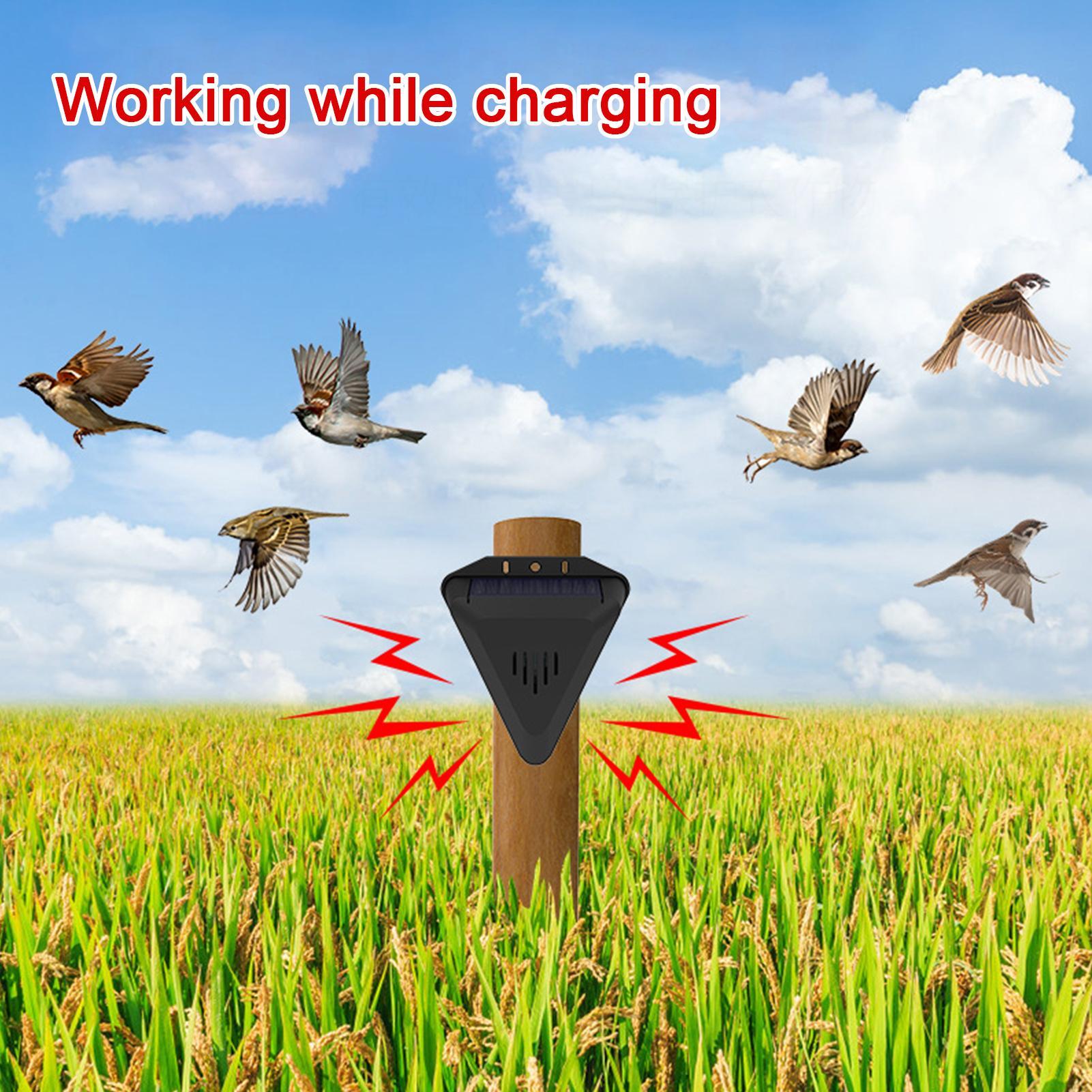 Solar Timer Bird Repeller With - Outdoor Power Timer ulasan dan harga