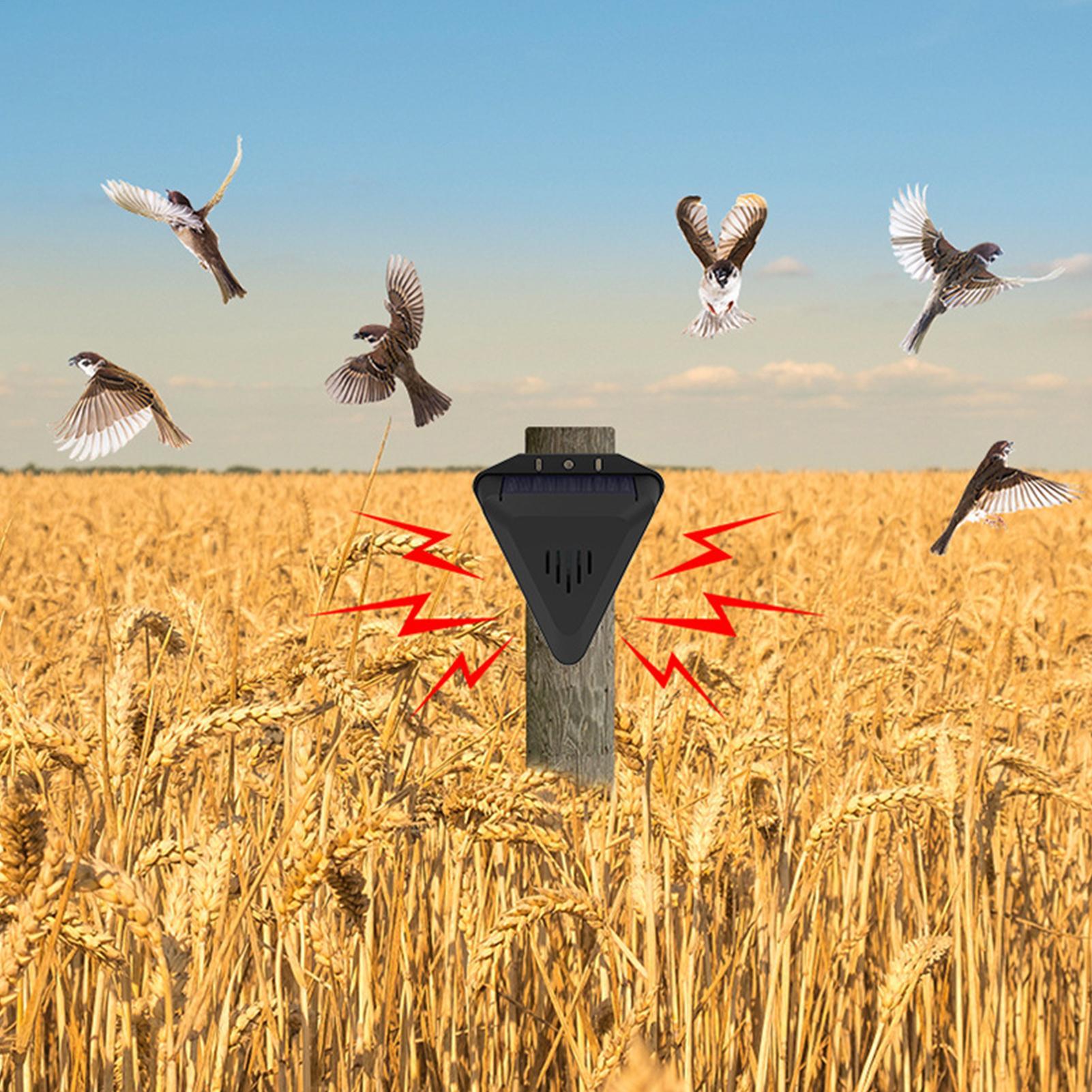 Solar Timer Bird Repeller With - Outdoor Power Timer ulasan dan harga