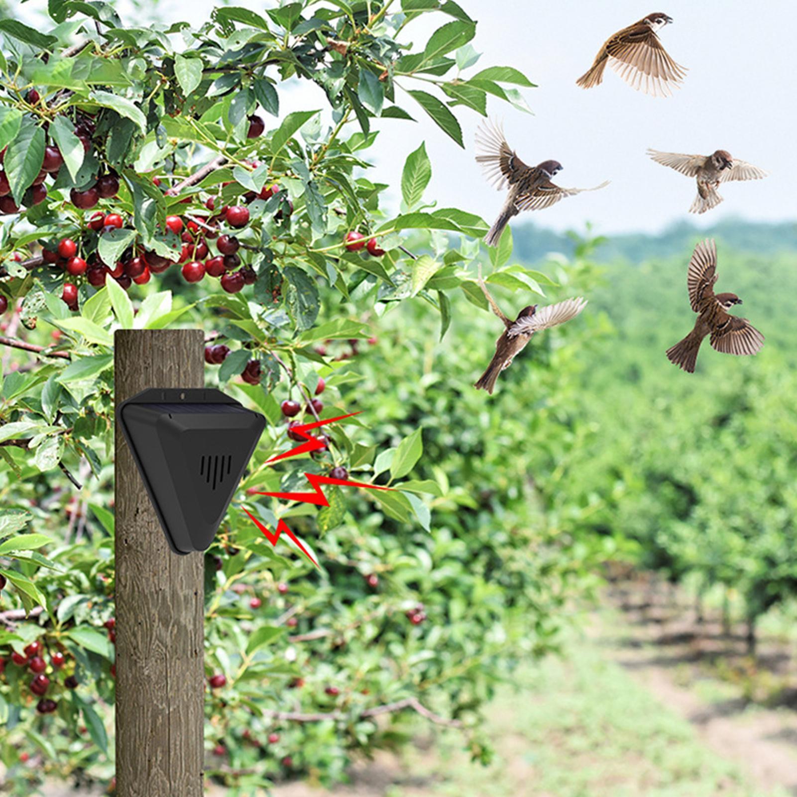 Solar Timer Bird Repeller With - Outdoor Power Timer ulasan dan harga